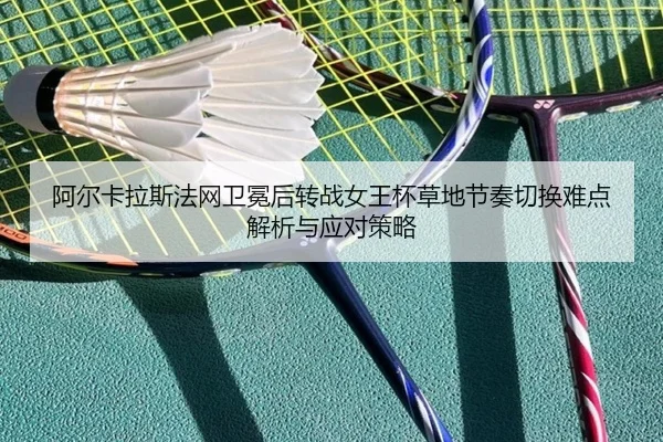 a-er-ka-la-si-fa-wang-wei-mian-hou-zhuan-zhan-nv-wang-bei-cao-di-jie-zou-qie-huan-nan-dian-jie-xi-yu-ying-dui-ce-lve-2-459.jpg