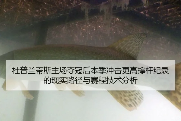 du-pu-lan-di-si-zhu-chang-duo-guan-hou-ben-ji-chong-ji-geng-gao-cheng-gan-ji-lu-de-xian-shi-lu-jing-yu-sai-cheng-ji-shu-2-562.jpg