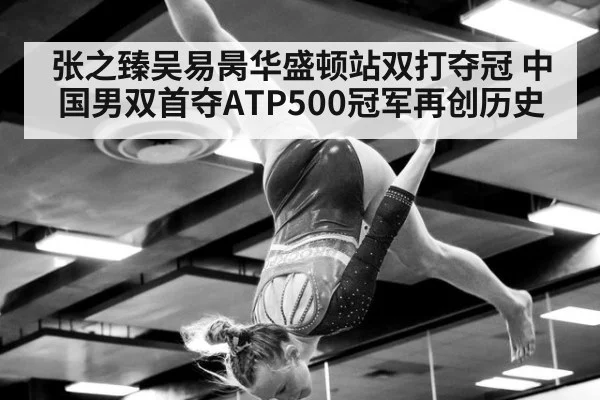 张之臻吴易昺华盛顿站双打夺冠 中国男双首夺ATP500冠军再创历史